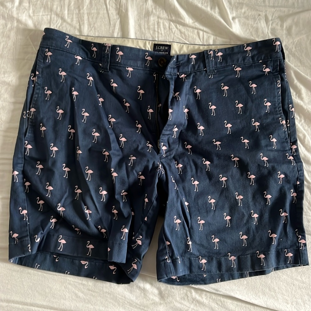 Men’s shorts J.Crew